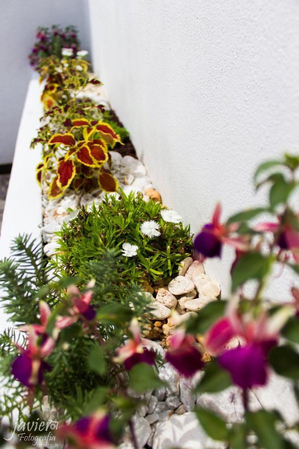 Lofts En Cuernavaca Con Alberca Climatizada Aparthotel Luaran gambar